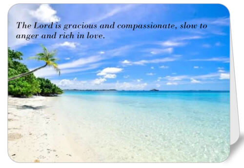 Health Food Emporium Encouragement Card The Lord is Gracious 5x7 Folded Card